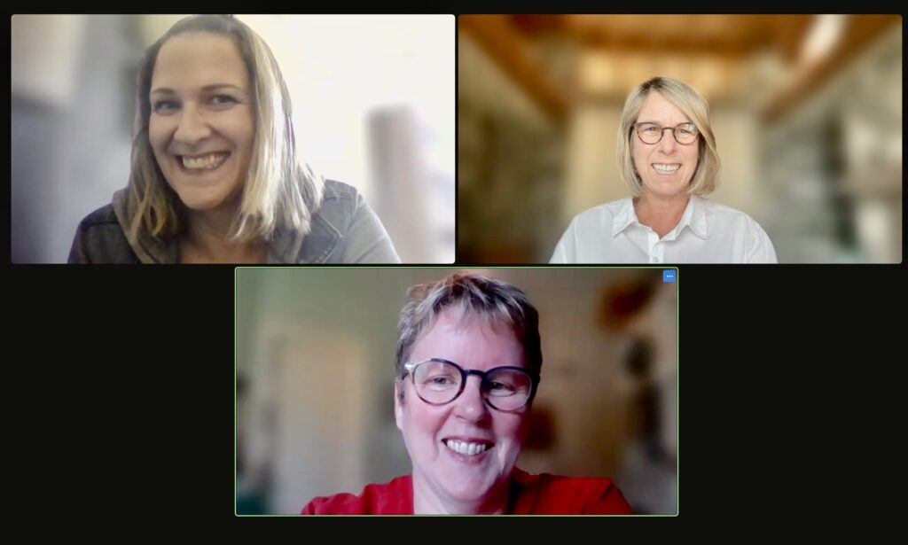 Image of recent Zoom meeting with Play Roly's founder and Vancouver Island advocates